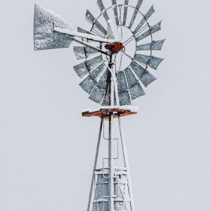 22-_DSC8240
