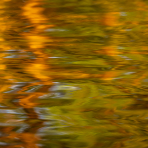 4-DSC_2676