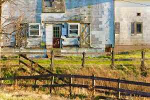 Photography #389