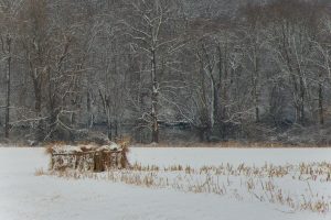 Photography #391