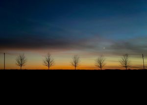 Photography #291