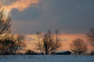 Photography #301
