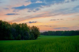 Photography #311