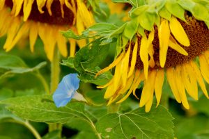Photography #313