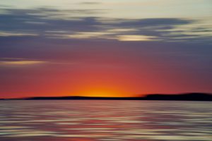 Photography #331